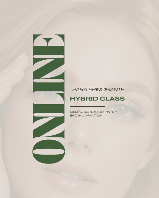 HYBRID CLASS ONLINE